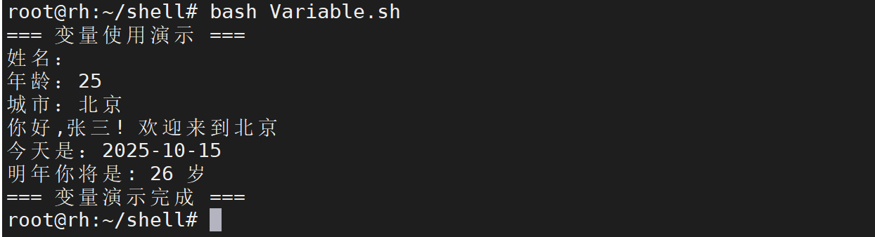 基本变量使用示例2